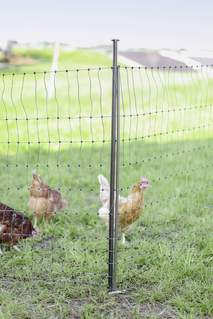 AKO Unterstützungspfahl für Weidenetze